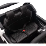 318-1 licencirani Mercedes-Benz Unimog